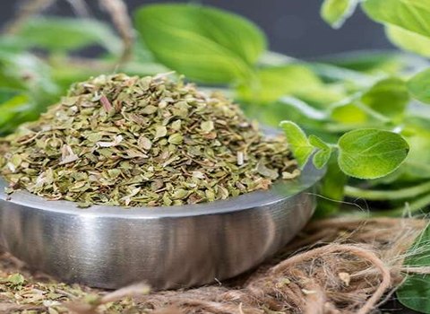 تصویر 1 از قیمت آویشن خشک عمده برای صنایع غذایی، عطاری و دارویی